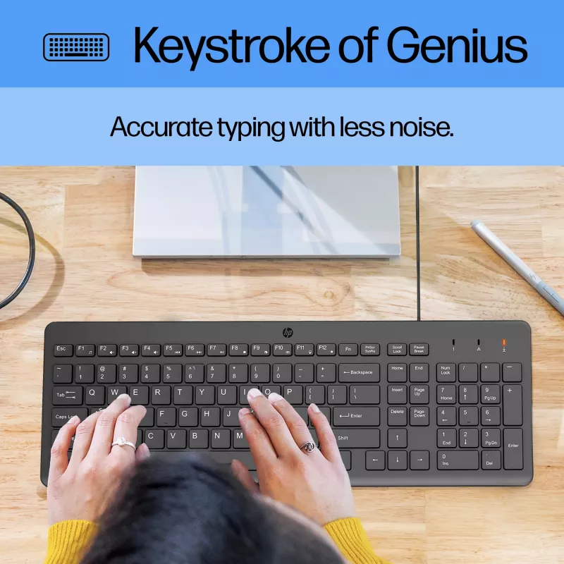 HP 150 Rato e teclado com fio