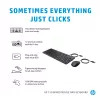 HP 150 Rato e teclado com fio
