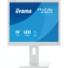 Monitor de computador iiyama ProLite B1980S-W1 48,3 cm (19