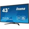 Monitor iiyama ProLite X4373UHSU-B1 108 cm (42,5 polegadas) 3840 x 2160 píxeis 4K Ultra HD preto