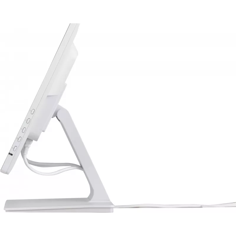 Monitor de computador iiyama ProLite T2452MSC-W1 61 cm (24