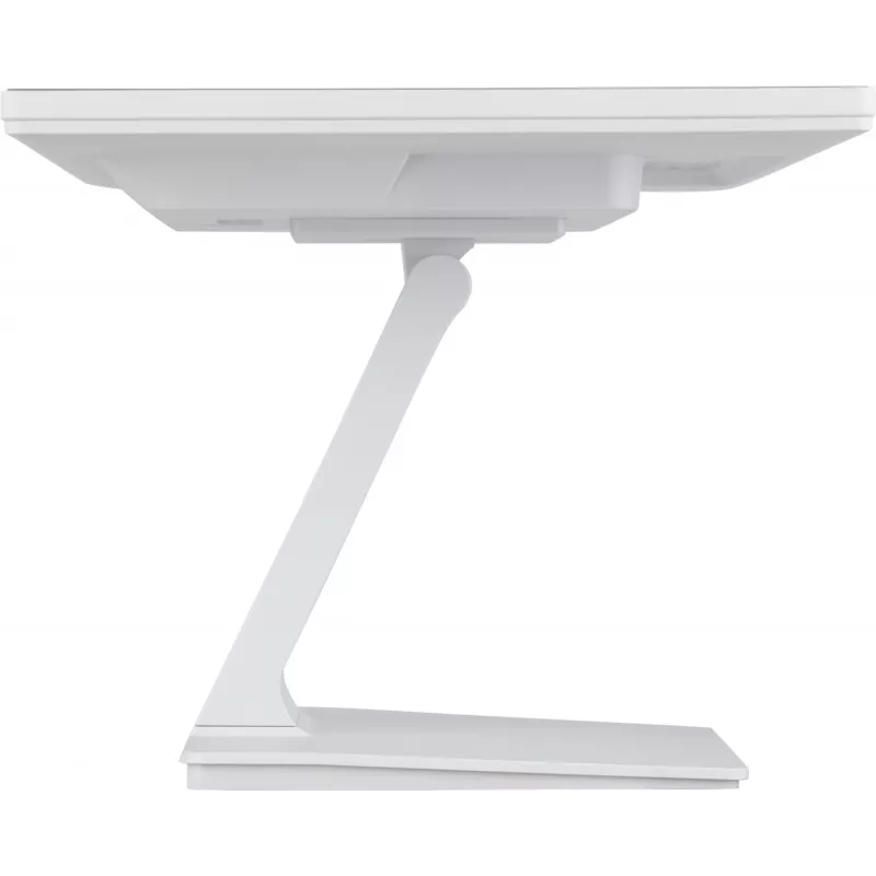 Monitor de computador iiyama ProLite T2452MSC-W1 61 cm (24