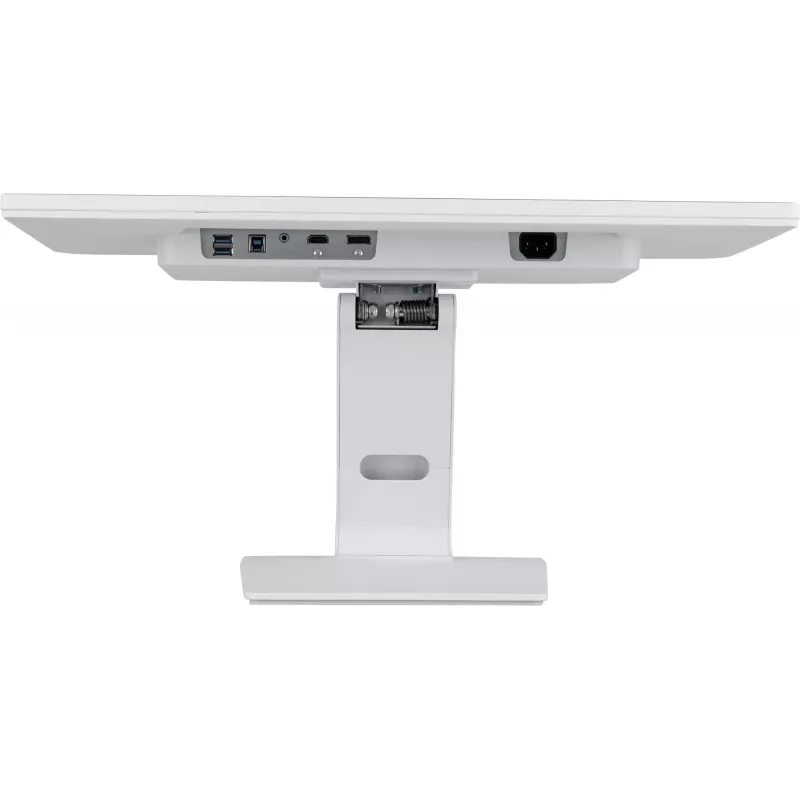 Monitor de computador iiyama ProLite T2452MSC-W1 61 cm (24