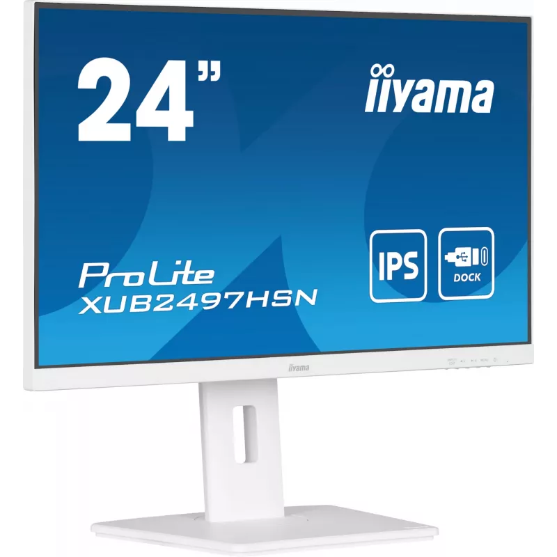 Monitor de computador iiyama ProLite XUB2497HSN-W1 60,5 cm (23,8