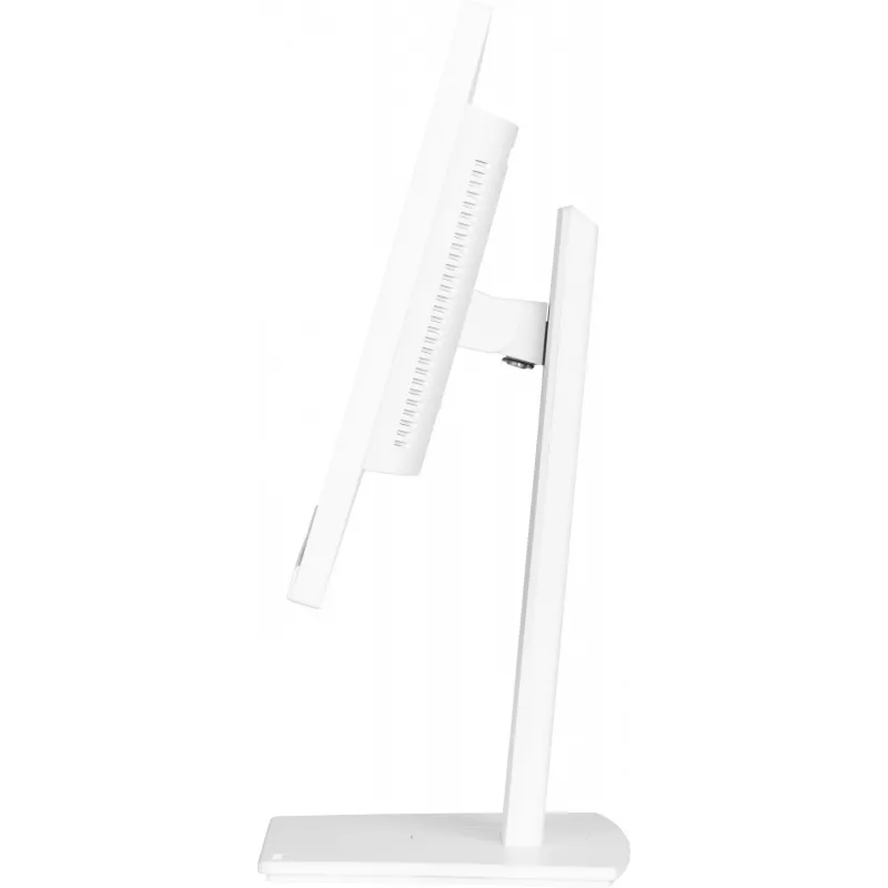 Monitor de computador iiyama ProLite XUB2497HSN-W1 60,5 cm (23,8