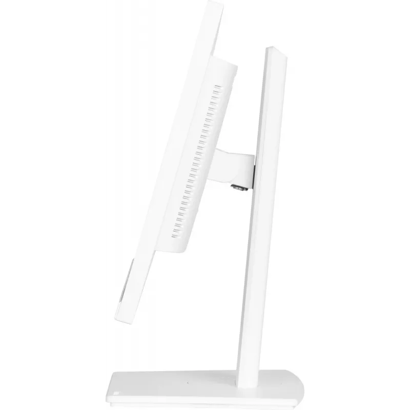 Monitor de computador iiyama ProLite XUB2497HSN-W1 60,5 cm (23,8