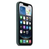 Capa de silicone Apple iPhone 16e Lake Green