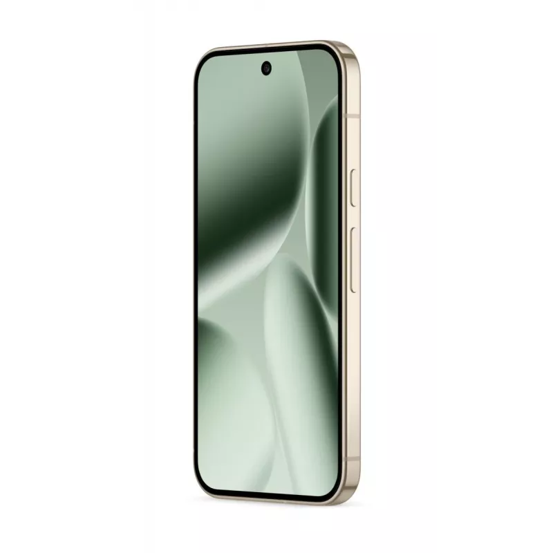 GOOGLE Pixel 10 Pro - Jade - 16GB - 256GB - 6,3 polegadas