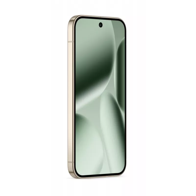 GOOGLE Pixel 10 Pro - Jade - 16GB - 256GB - 6,3 polegadas