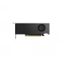 Placa gráfica NVIDIA RTX 2000 - Ada Retail