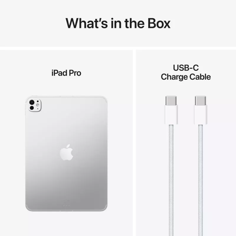 APPLE iPad Pro M5 - 11 polegadas - Wi-Fi + Cellular - 256 GB - vidro padrão - prateado