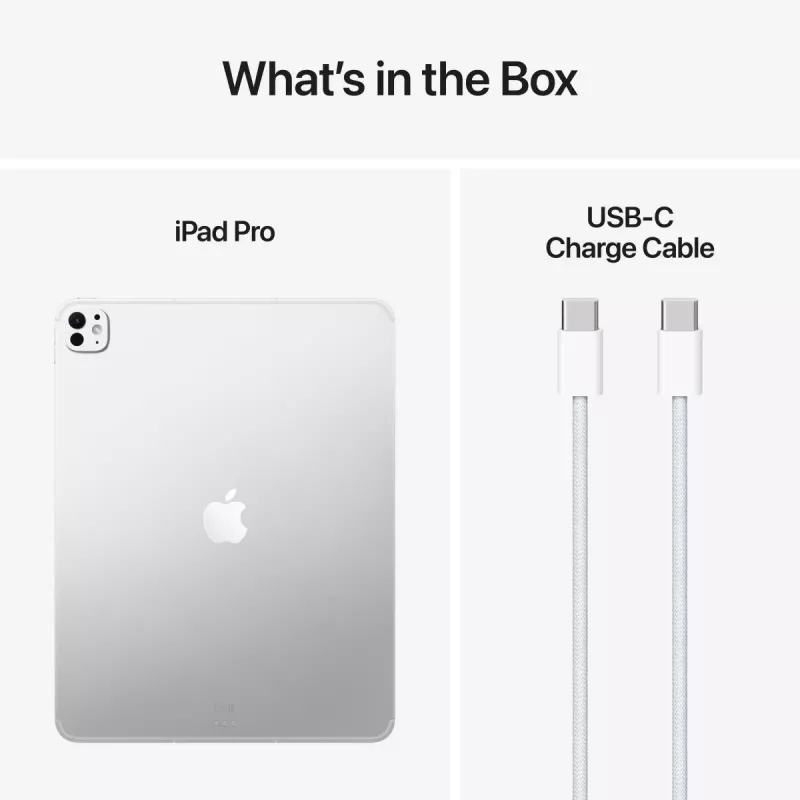 APPLE iPad Pro M5 - 13 polegadas - Wi-Fi + Cellular - 512 GB - vidro padrão - prateado