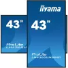 Ecrã de sinalização iiyama LH4365UHSB-B1 design quiosque 108 cm (42,5 polegadas) LED Wi-Fi 800 cd/m² 4K Ultra HD preto processador integrado Android 11 24/7