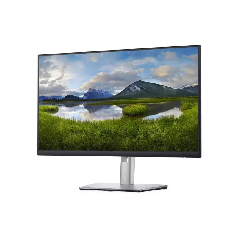 Monitor DELL P Series P2422H 23,8 polegadas Full HD LCD 1920 x 1080