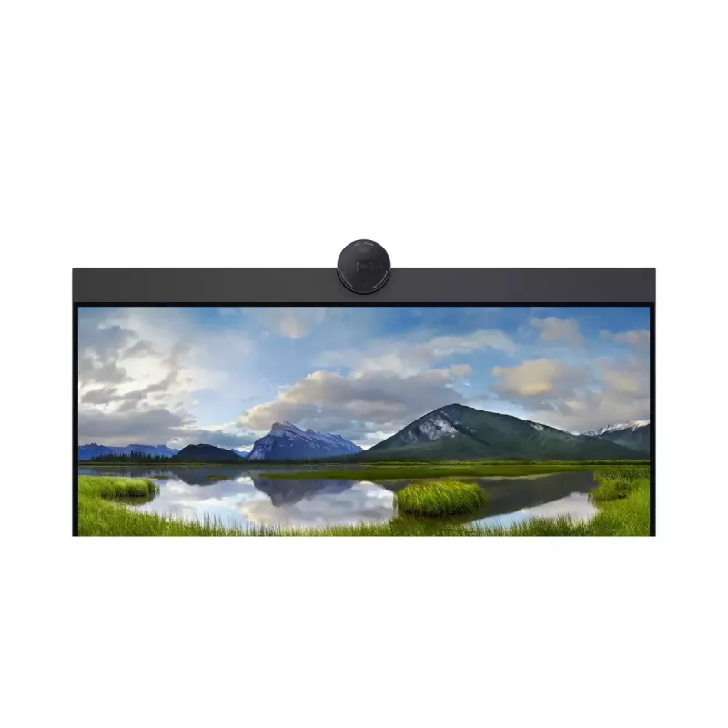 DELL P2424HEB 60,5 cm (23,8 polegadas) LCD 1920 x 1080 píxeis Full HD
