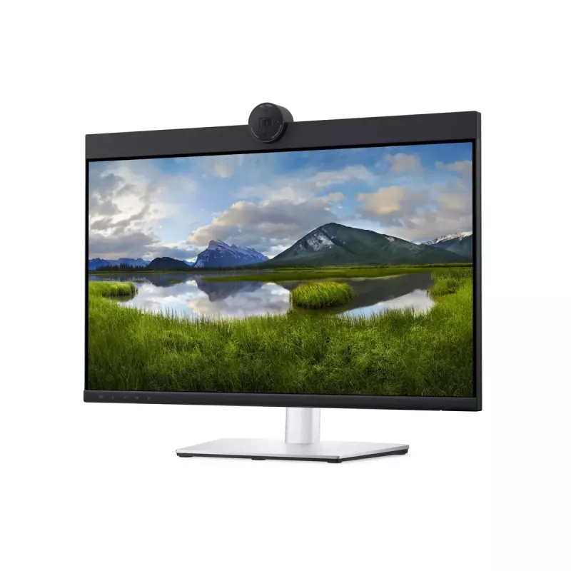 DELL P2424HEB 60,5 cm (23,8 polegadas) LCD 1920 x 1080 píxeis Full HD