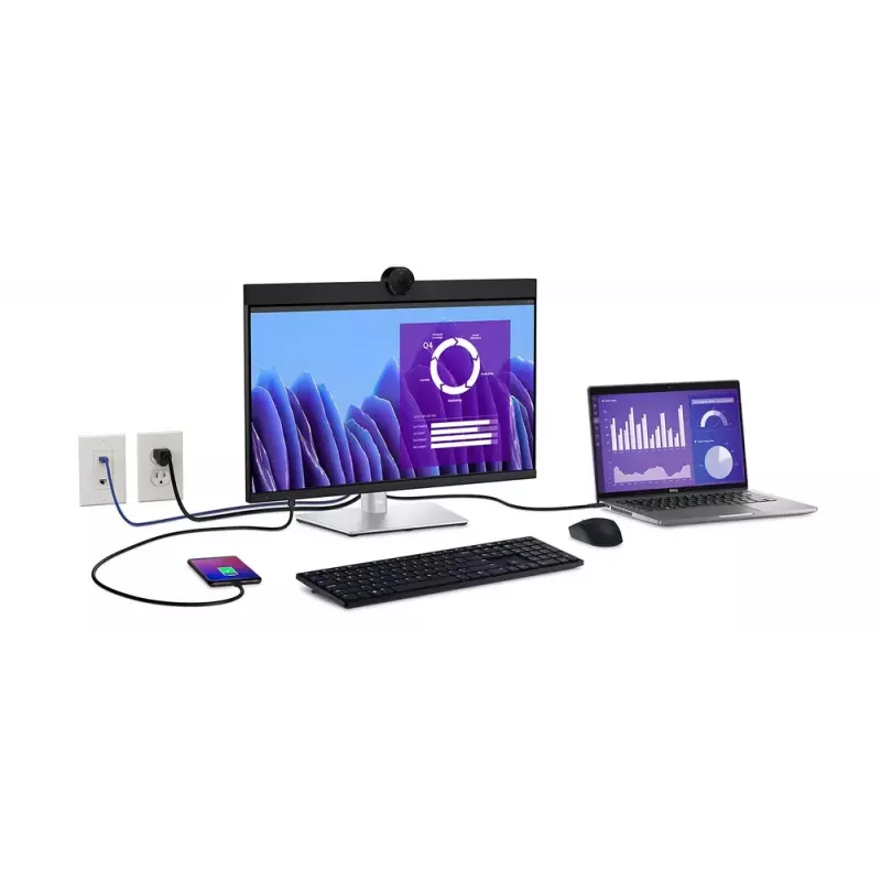 DELL P2424HEB 60,5 cm (23,8 polegadas) LCD 1920 x 1080 píxeis Full HD
