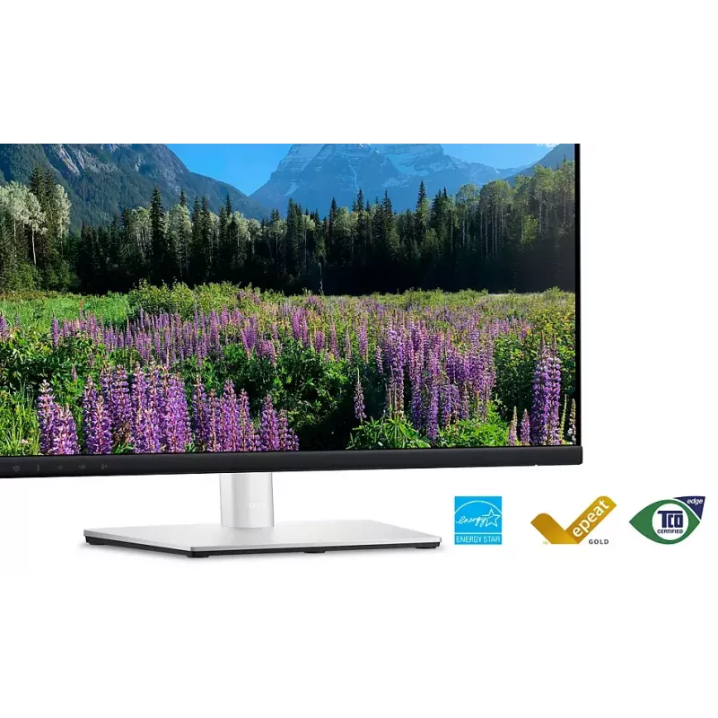 DELL P2424HEB 60,5 cm (23,8 polegadas) LCD 1920 x 1080 píxeis Full HD