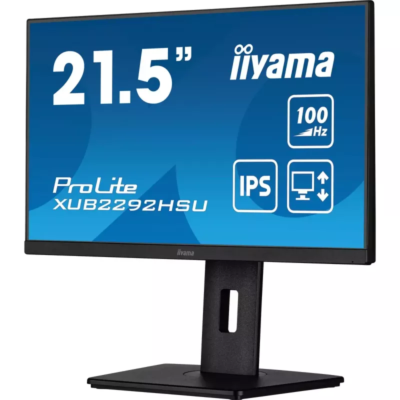 Monitor de computador iiyama ProLite XUB2292HSU-B6 54,6 cm (21,5