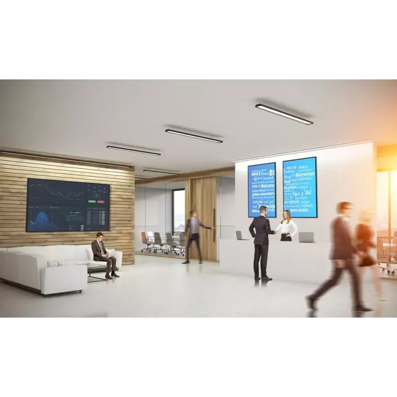 Ecrã plano de sinalização digital Optoma N3981K 98