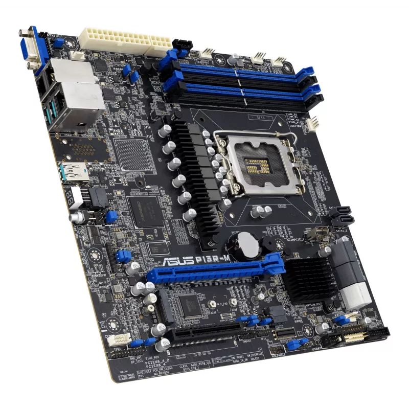 Placa-mãe ASUS P13R-M Intel C262 LGA 1700 micro ATX, DDR5, 4 DIMM, 128GB, 8x SATA III, 1x M.2, 2x LAN