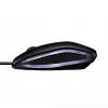 CHERRY GENTIX RATO COM FIO ILUMINADO, Preto, USB, ambidestro, ótico, USB Type-A, 1000 DPI, Preto
