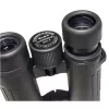 Braun Compagno 8 x 34 WP binóculos BAK-4 telhado preto