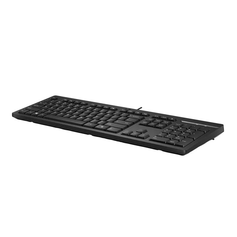 Teclado com fios HP 125, formato completo (100%), com fios, USB, preto
