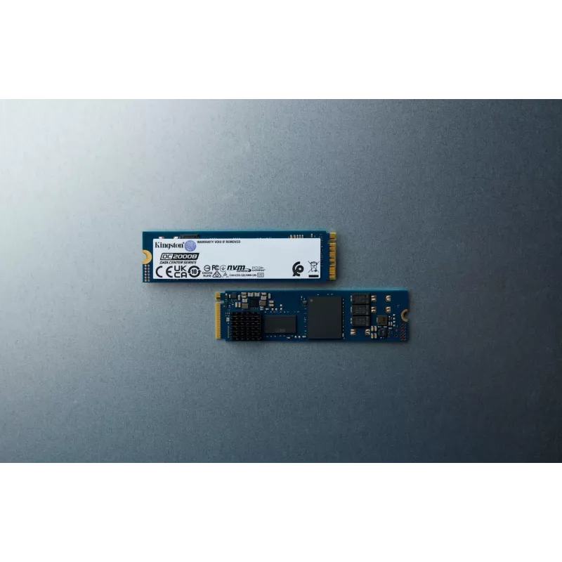 Kingston Technology 480G DC2000B PCIe 4.0 M.2 2280 SSD Enterprise