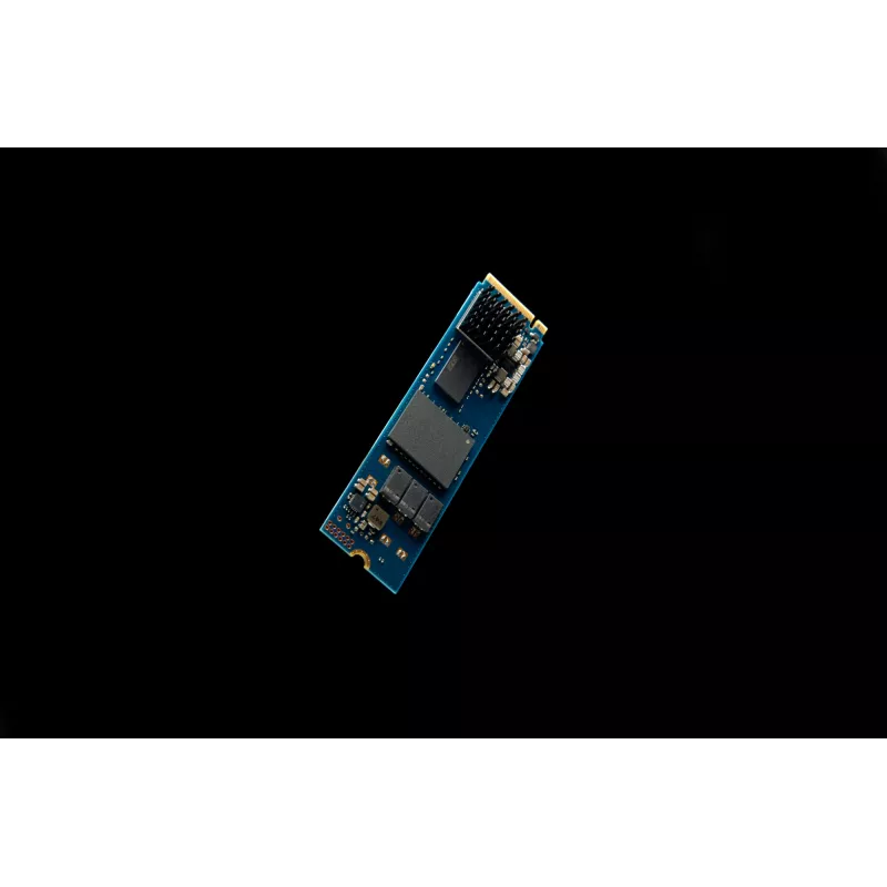 Kingston Technology 480G DC2000B PCIe 4.0 M.2 2280 SSD Enterprise