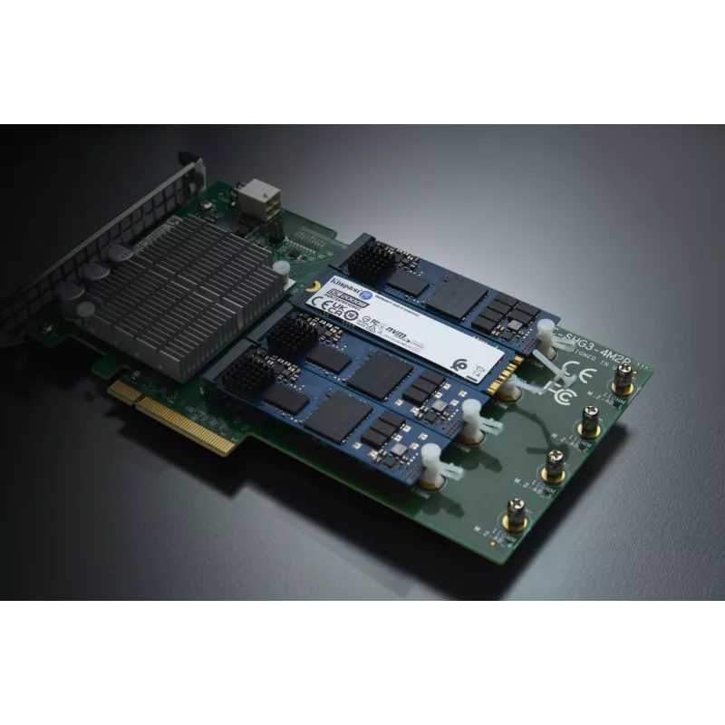 Kingston Technology 240G DC2000B PCIe 4.0 M.2 2280 SSD Enterprise