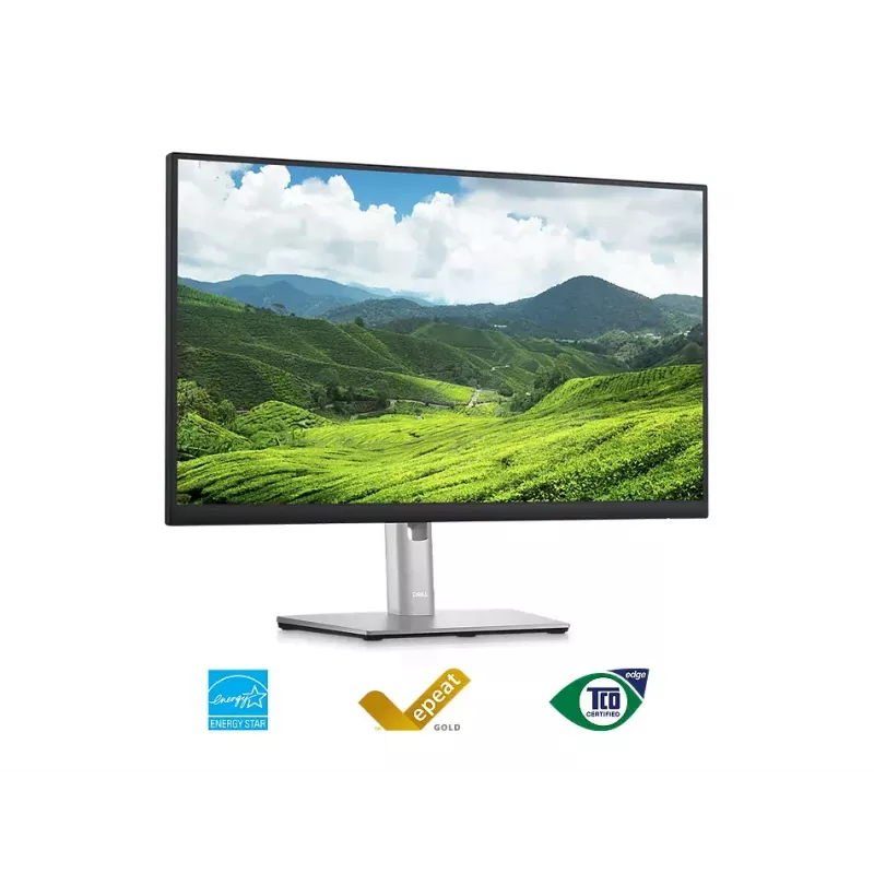 Monitor DELL P2423D 23,8 polegadas LCD Quad HD 2560 x 1440