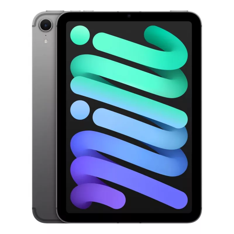 APPLE iPad Mini Wi-Fi + Cellular 256GB – Cinzento sideral