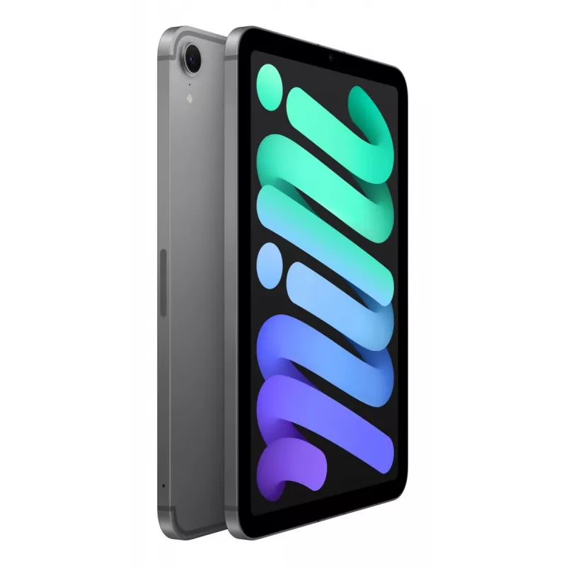 APPLE iPad Mini Wi-Fi + Cellular 256GB – Cinzento sideral