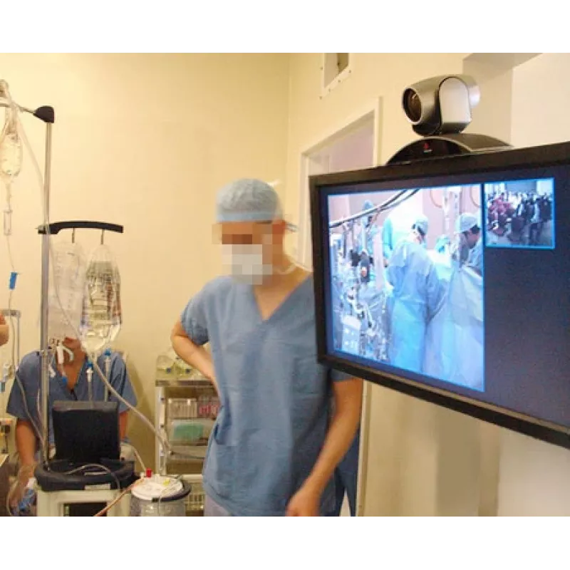 ERGOTRON Braço interativo HD (alumínio polido)