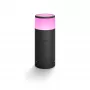 Philips Hue White and colour ambience Candeeiro de chão para exterior Calla