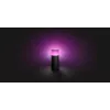 Philips Hue White and colour ambience Candeeiro de chão para exterior Calla