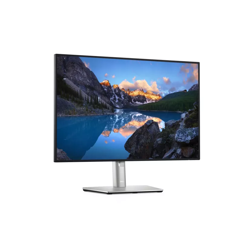 Monitor DELL UltraSharp U2421E 61,2 cm (24,1