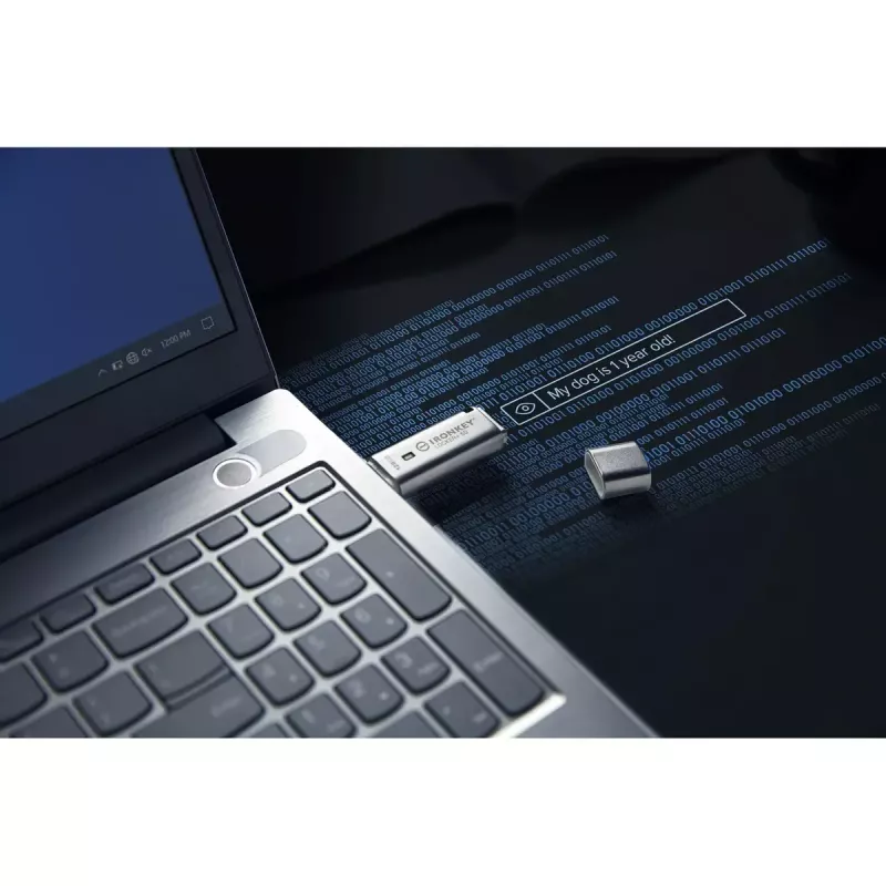 Kingston Technology IronKey 128GB IKLP50 USB AES com encriptação de 256 bits
