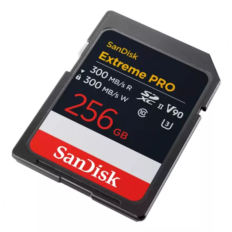Memória flash SanDisk Extreme PRO 256 GB UHS-II SDSDXDM-256G-GN4IN