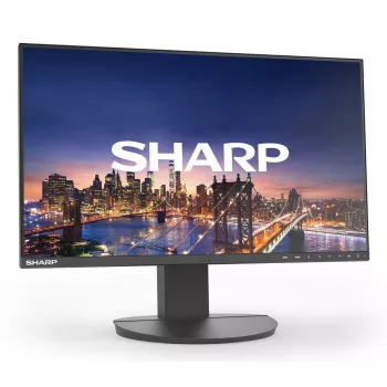 Monitor Sharp MultiSync EA242F 24