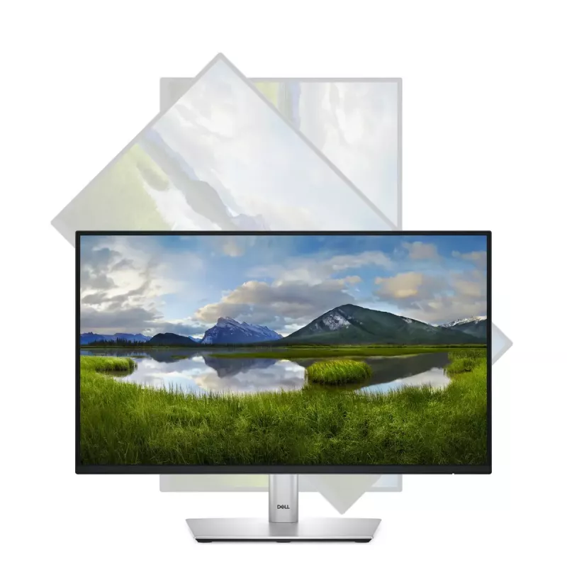 Monitor DELL P Series P2225H 54,6 cm (21,5 polegadas) 1920 x 1080 píxeis Full HD LCD preto, prateado