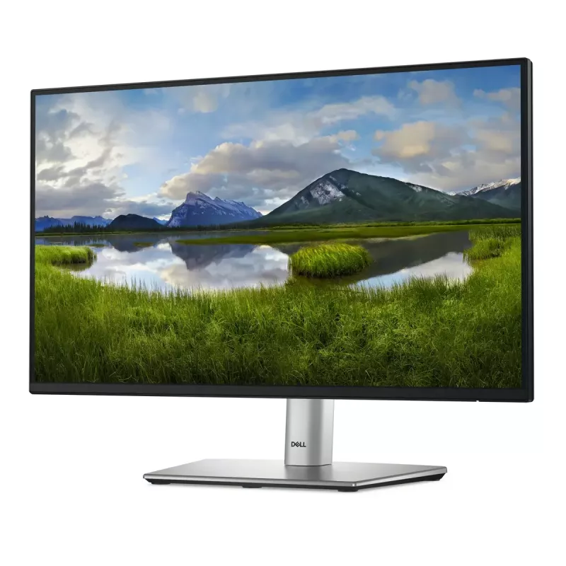 Monitor DELL P Series P2225H 54,6 cm (21,5 polegadas) 1920 x 1080 píxeis Full HD LCD preto, prateado