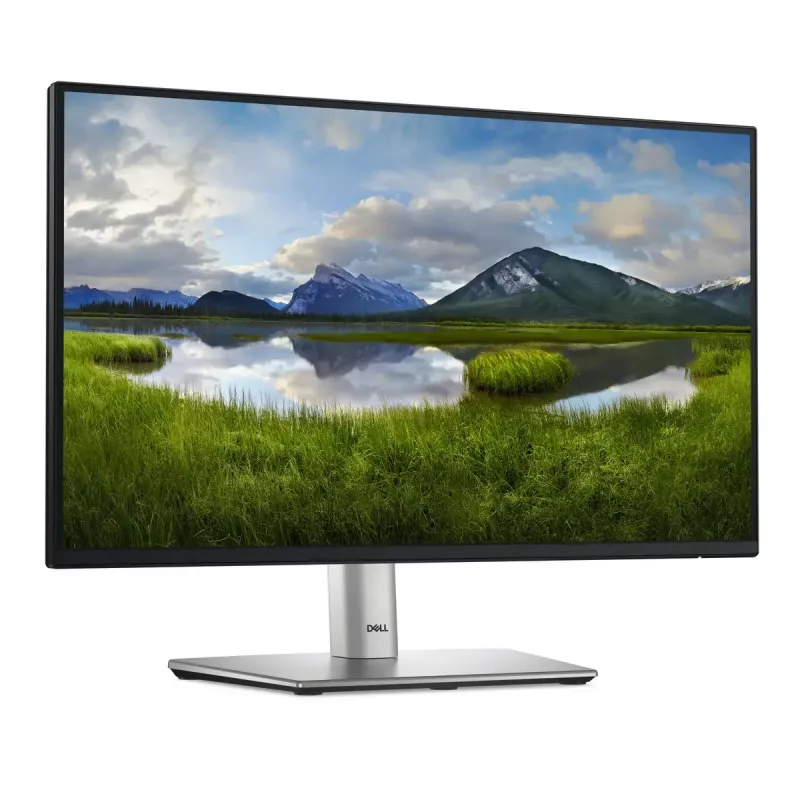 Monitor DELL P Series P2225H 54,6 cm (21,5 polegadas) 1920 x 1080 píxeis Full HD LCD preto, prateado