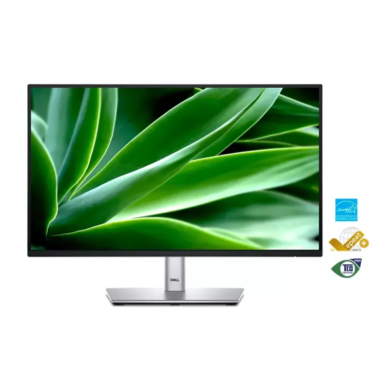 Monitor DELL P Series P2225H 54,6 cm (21,5 polegadas) 1920 x 1080 píxeis Full HD LCD preto, prateado
