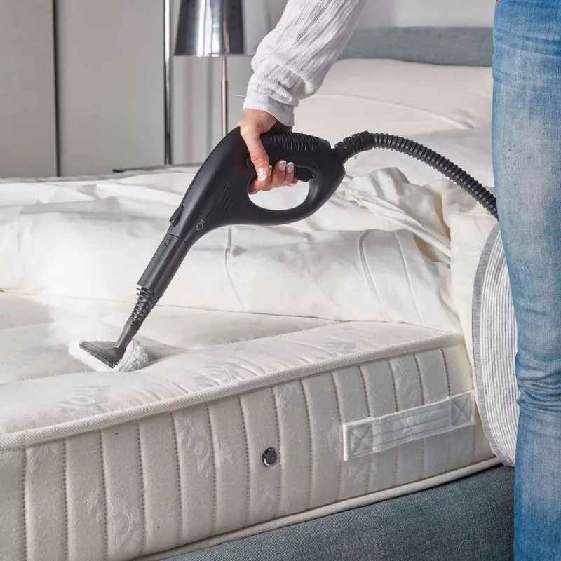 Polti Vaporetto Smart 30_S Limpador a vapor de cilindro 1,6 L 1800 W Cinzento, Branco