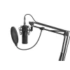 Microfone de estúdio GENESIS Radium 300 XLR preto