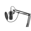 Microfone de estúdio GENESIS Radium 300 XLR preto
