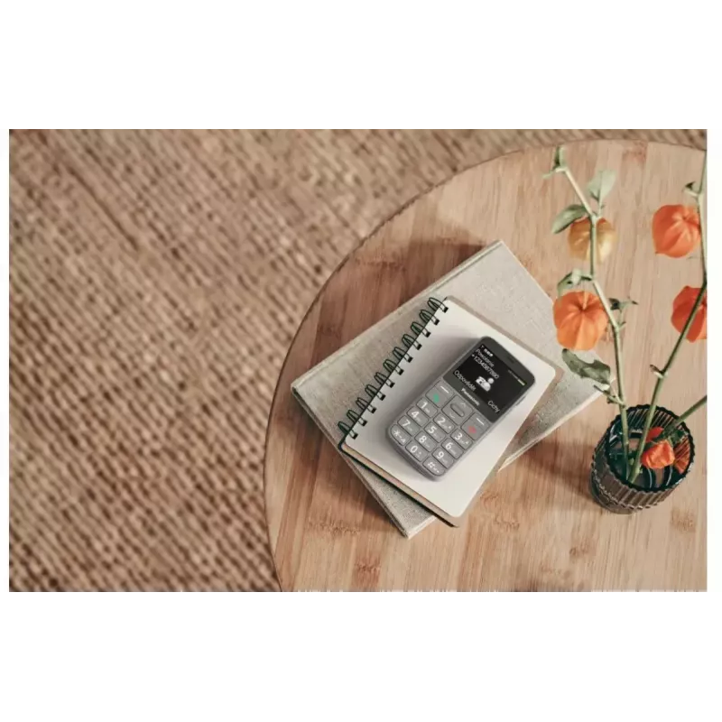 Telemóvel Panasonic KX-TU160 2,4 polegadas