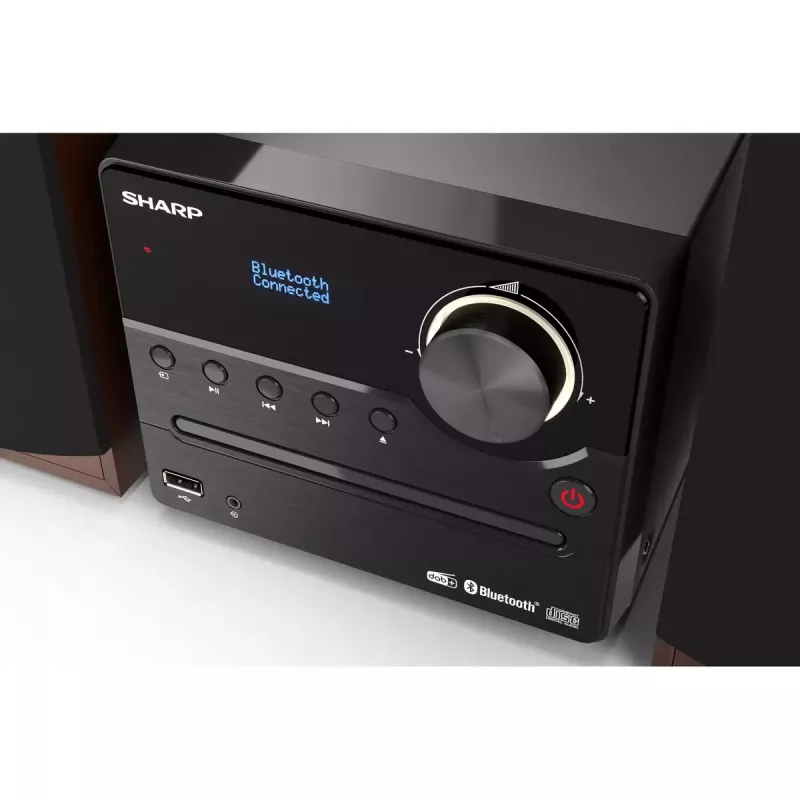 Micro-sistema de áudio Sharp XL-B517D 45 W castanho